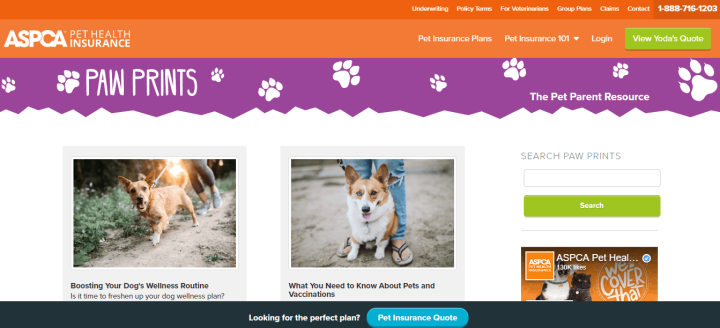 ASPCA Pet Health Insurance blog