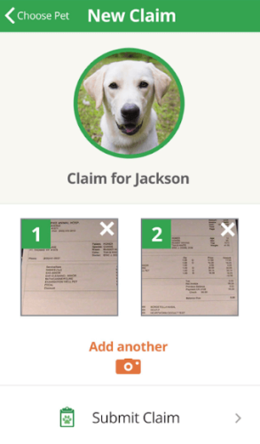 Submitting Claim With Healthy Paws' App