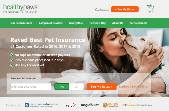 Healthy Paws homepage