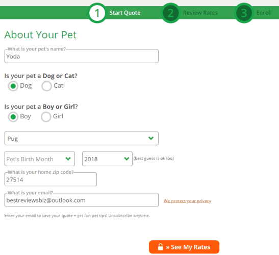 Providing Data for a Healthy Paws Quote