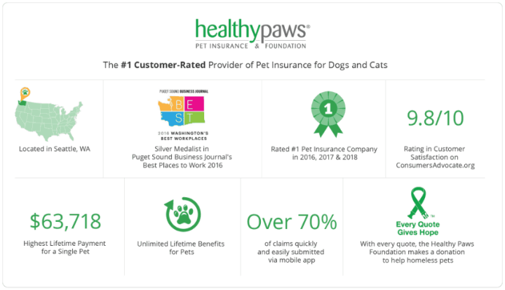 Healthy Paws service
