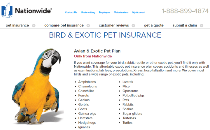 Bird and exotic pet insurance with Nationwide