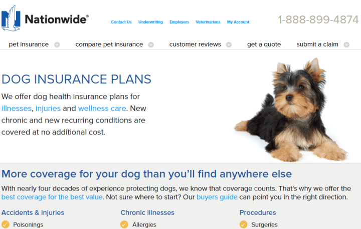 Dog insurance with Nationwide Pet Insurance