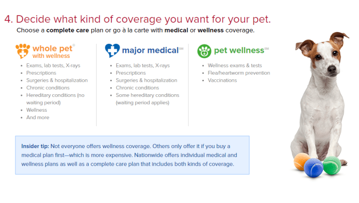 Main plans with Nationwide Pet Insurance