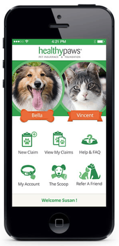 Mobile claim app with Healthy Paws
